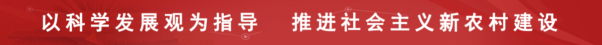 首页中部广告图